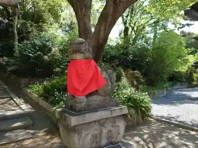 大海神社（住吉大社摂社）の狛犬