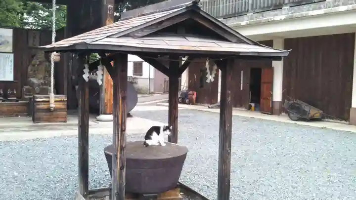 盛岡八幡宮の動物