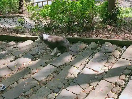 久能山東照宮(静岡県)