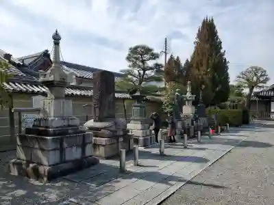 東寺（教王護国寺）の{uncategorized: "未分類", other: "その他", undefined: "問題あり", building: "その他建物", grave: "お墓", sacred_gate: "鳥居", guardian: "狛犬", statue: "像", buddha: "仏像", history: "歴史", nature: "自然", garden: "庭園", animal: "動物", pagoda: "塔", temizu: "手水舎", mountain_gate: "山門・神門", sanctuary: "本殿・本堂", subordinate: "末社・摂社", art: "芸術", scenery: "景色", jizo: "地蔵", ema: "絵馬", goshuin: "御朱印", omikuji: "おみくじ", items: "授与品その他", amulet: "お守り", goshuincho: "御朱印帳", eats: "食事", festival: "お祭り", votive_dance: "神楽", shichigosan: "七五三参", wedding: "結婚式", experience: "体験その他", initially: "初詣", around: "周辺", anti_infection: "感染症対策"}