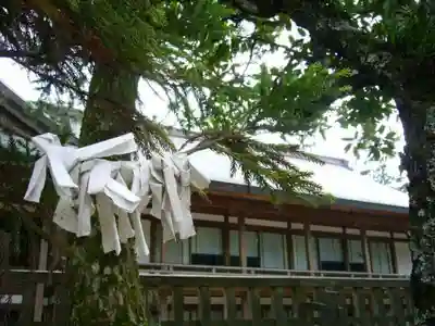 出雲大社のおみくじ