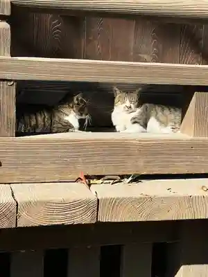 阿邪訶根神社(福島県)