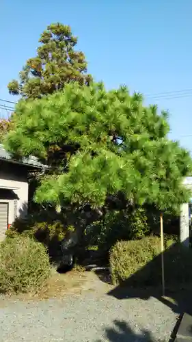 三和神社の自然