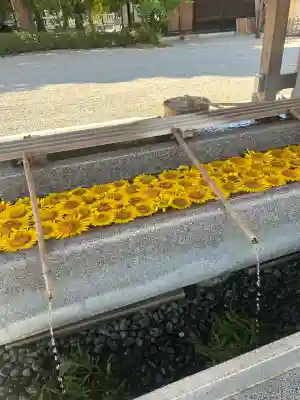 射水神社の手水舎