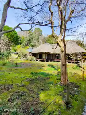 浄智寺(神奈川県)