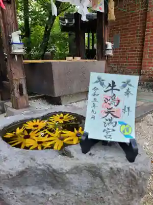 牛嶋天満宮　普通御朱印　※ハート（猪目）の手水鉢で撮影しました。
