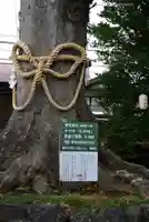 八坂神社(神奈川県)