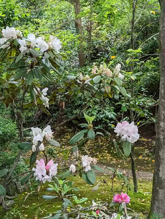 法金剛院(京都府)