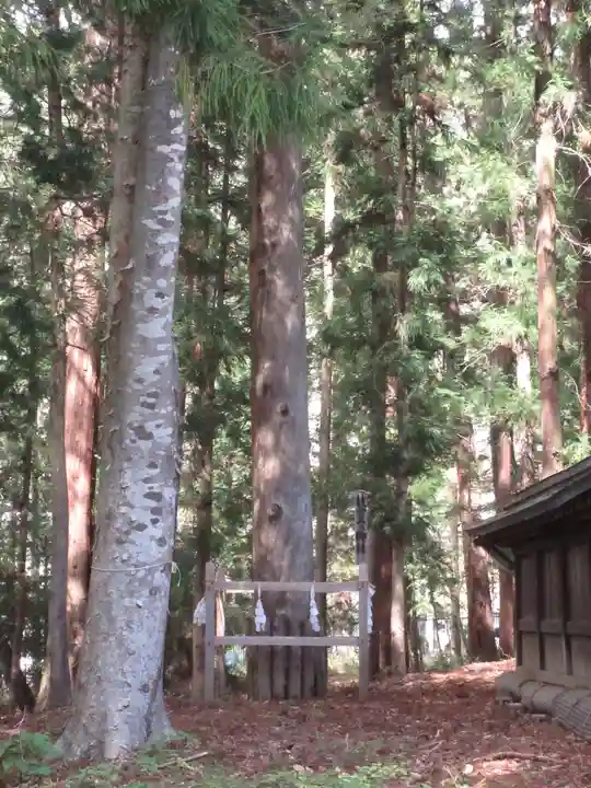 諏訪大社下社秋宮のその他建物