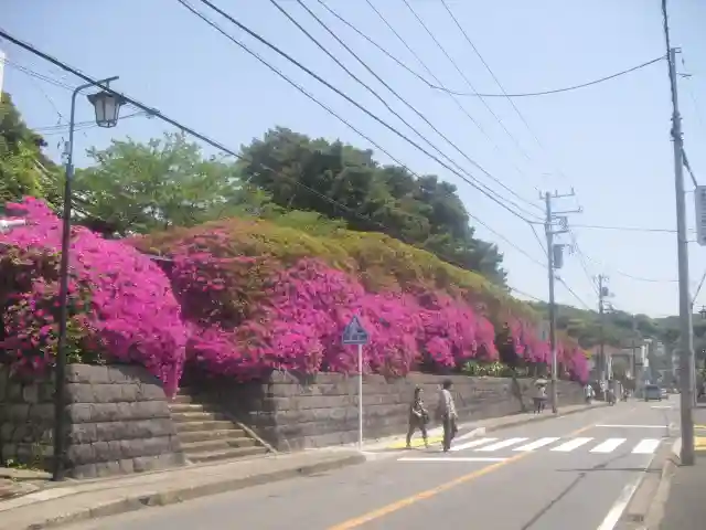安養院 (田代寺)の周辺