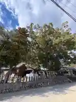 須賀神社(高知県)