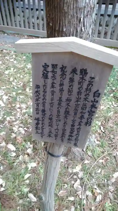 落合白山神社の歴史