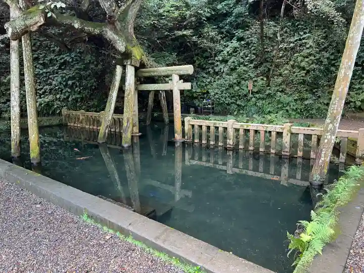 鹿島神宮の{uncategorized: "未分類", other: "その他", undefined: "問題あり", building: "その他建物", grave: "お墓", sacred_gate: "鳥居", guardian: "狛犬", statue: "像", buddha: "仏像", history: "歴史", nature: "自然", garden: "庭園", animal: "動物", pagoda: "塔", temizu: "手水舎", mountain_gate: "山門・神門", sanctuary: "本殿・本堂", subordinate: "末社・摂社", art: "芸術", scenery: "景色", jizo: "地蔵", ema: "絵馬", goshuin: "御朱印", omikuji: "おみくじ", items: "授与品その他", amulet: "お守り", goshuincho: "御朱印帳", eats: "食事", festival: "お祭り", votive_dance: "神楽", shichigosan: "七五三参", wedding: "結婚式", experience: "体験その他", initially: "初詣", around: "周辺", anti_infection: "感染症対策"}