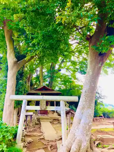 北向き道祖神(茨城県)