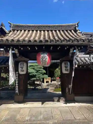 東寺（教王護国寺）の山門