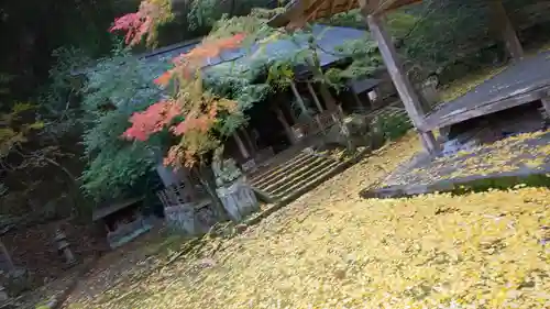 岩戸落葉神社の本殿・本堂