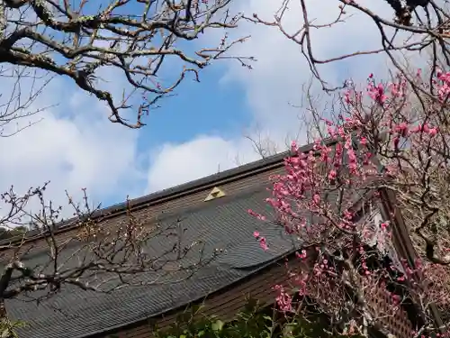 早雲寺(神奈川県)