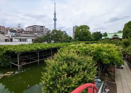 亀戸天神社(東京都)