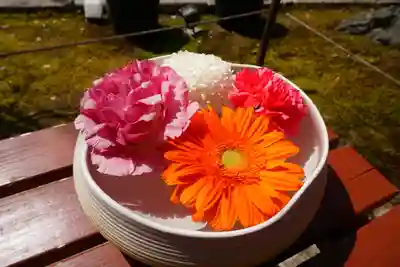 勝林寺の手水舎