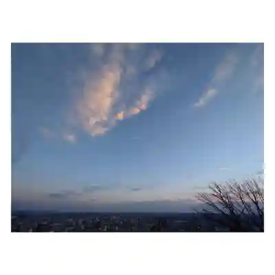 岐阜稲荷山本社(岐阜県)