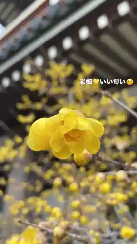 東長寺の{uncategorized: "未分類", other: "その他", undefined: "問題あり", building: "その他建物", grave: "お墓", sacred_gate: "鳥居", guardian: "狛犬", statue: "像", buddha: "仏像", history: "歴史", nature: "自然", garden: "庭園", animal: "動物", pagoda: "塔", temizu: "手水舎", mountain_gate: "山門・神門", sanctuary: "本殿・本堂", subordinate: "末社・摂社", art: "芸術", scenery: "景色", jizo: "地蔵", ema: "絵馬", goshuin: "御朱印", omikuji: "おみくじ", items: "授与品その他", amulet: "お守り", goshuincho: "御朱印帳", eats: "食事", festival: "お祭り", votive_dance: "神楽", shichigosan: "七五三参", wedding: "結婚式", experience: "体験その他", initially: "初詣", around: "周辺", anti_infection: "感染症対策"}