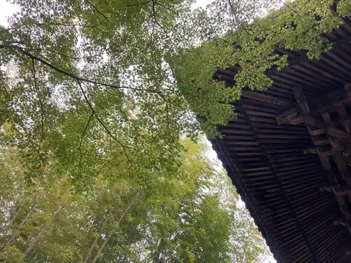 修禅寺(静岡県)