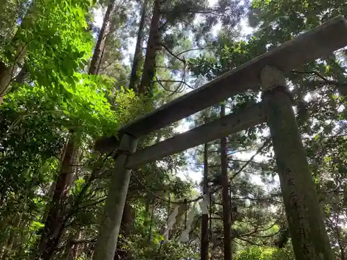 琴平神社の鳥居