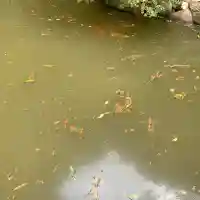 日神社(和歌山県)