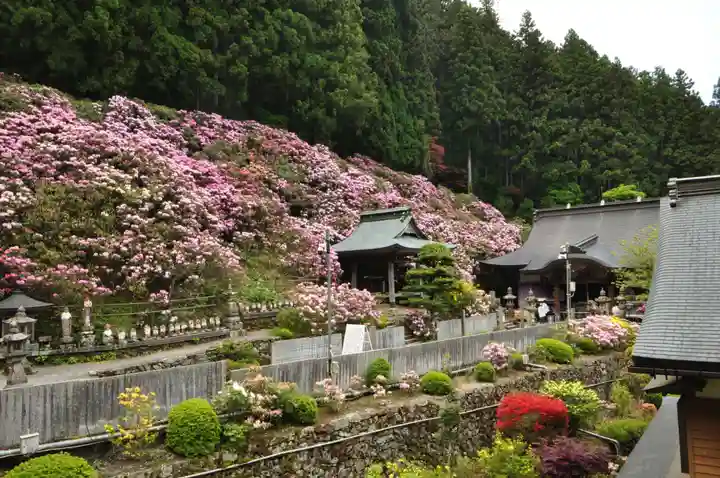 横峰寺(愛媛県)