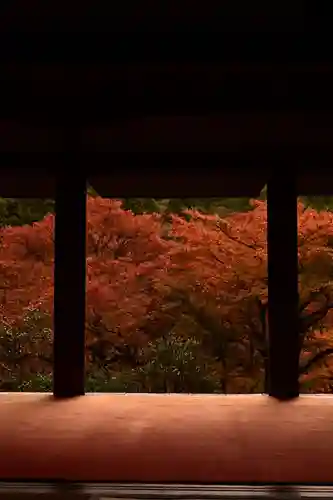 高山寺(京都府)