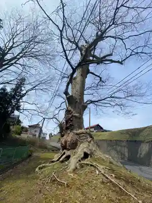 十二神社の自然