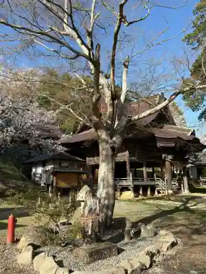 蚊里田八幡宮の{uncategorized: "未分類", other: "その他", undefined: "問題あり", building: "その他建物", grave: "お墓", sacred_gate: "鳥居", guardian: "狛犬", statue: "像", buddha: "仏像", history: "歴史", nature: "自然", garden: "庭園", animal: "動物", pagoda: "塔", temizu: "手水舎", mountain_gate: "山門・神門", sanctuary: "本殿・本堂", subordinate: "末社・摂社", art: "芸術", scenery: "景色", jizo: "地蔵", ema: "絵馬", goshuin: "御朱印", omikuji: "おみくじ", items: "授与品その他", amulet: "お守り", goshuincho: "御朱印帳", eats: "食事", festival: "お祭り", votive_dance: "神楽", shichigosan: "七五三参", wedding: "結婚式", experience: "体験その他", initially: "初詣", around: "周辺", anti_infection: "感染症対策"}