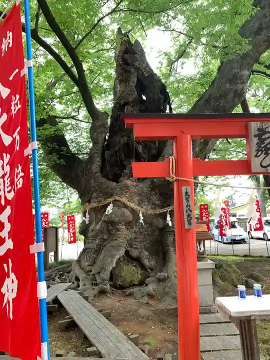 秩父今宮神社の鳥居