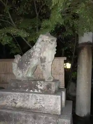 安井金比羅宮の狛犬