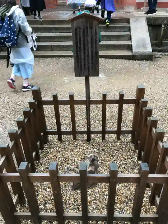 春日大社の{uncategorized: "未分類", other: "その他", undefined: "問題あり", building: "その他建物", grave: "お墓", sacred_gate: "鳥居", guardian: "狛犬", statue: "像", buddha: "仏像", history: "歴史", nature: "自然", garden: "庭園", animal: "動物", pagoda: "塔", temizu: "手水舎", mountain_gate: "山門・神門", sanctuary: "本殿・本堂", subordinate: "末社・摂社", art: "芸術", scenery: "景色", jizo: "地蔵", ema: "絵馬", goshuin: "御朱印", omikuji: "おみくじ", items: "授与品その他", amulet: "お守り", goshuincho: "御朱印帳", eats: "食事", festival: "お祭り", votive_dance: "神楽", shichigosan: "七五三参", wedding: "結婚式", experience: "体験その他", initially: "初詣", around: "周辺", anti_infection: "感染症対策"}