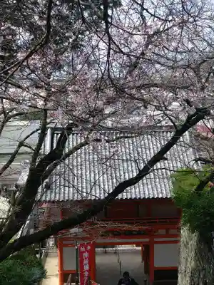 金剛宝寺（紀三井寺）の{uncategorized: "未分類", other: "その他", undefined: "問題あり", building: "その他建物", grave: "お墓", sacred_gate: "鳥居", guardian: "狛犬", statue: "像", buddha: "仏像", history: "歴史", nature: "自然", garden: "庭園", animal: "動物", pagoda: "塔", temizu: "手水舎", mountain_gate: "山門・神門", sanctuary: "本殿・本堂", subordinate: "末社・摂社", art: "芸術", scenery: "景色", jizo: "地蔵", ema: "絵馬", goshuin: "御朱印", omikuji: "おみくじ", items: "授与品その他", amulet: "お守り", goshuincho: "御朱印帳", eats: "食事", festival: "お祭り", votive_dance: "神楽", shichigosan: "七五三参", wedding: "結婚式", experience: "体験その他", initially: "初詣", around: "周辺", anti_infection: "感染症対策"}