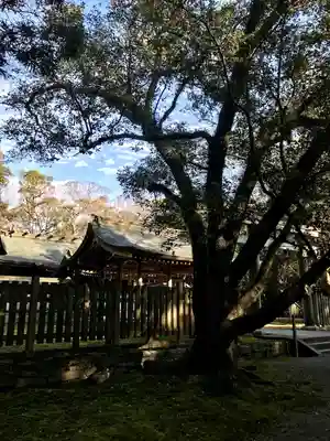 日前神宮・國懸神宮(和歌山県)