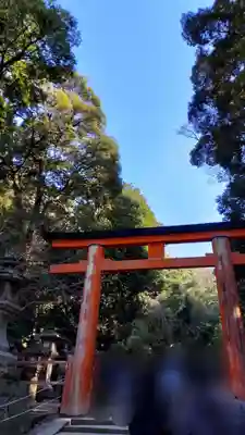 春日大社(奈良県)