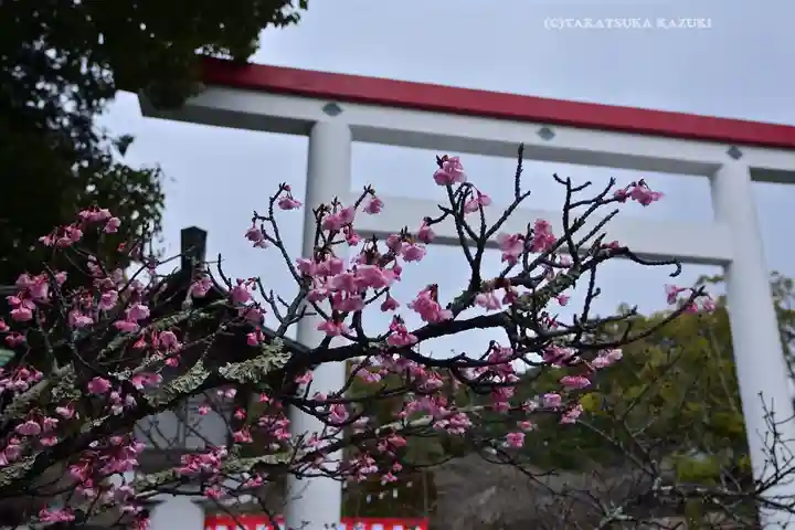 鎌倉宮(神奈川県)