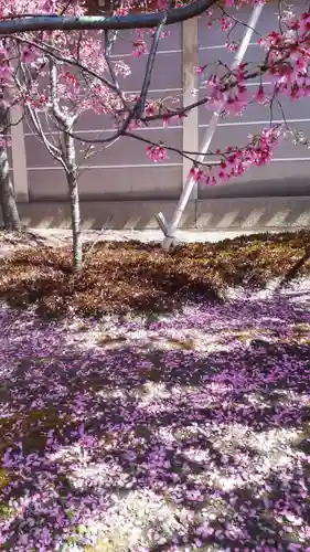 長徳寺(京都府)