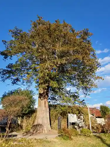 豊景神社の自然