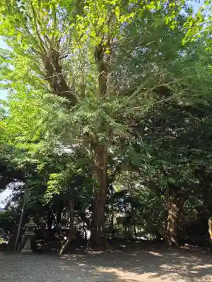 十二所神社の自然