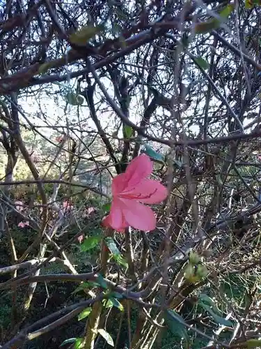 塩船観音寺の庭園