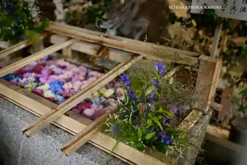 東京大神宮(東京都)