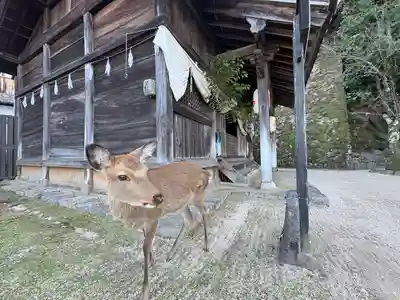 長浜神社(広島県)