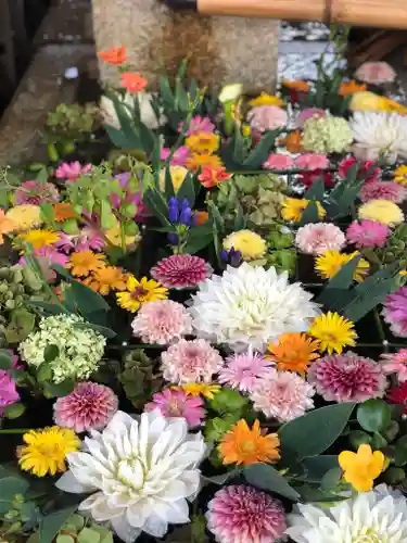 北野天満宮の手水舎