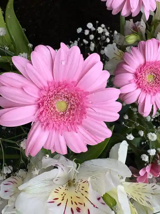 上尾御嶽神社(埼玉県)