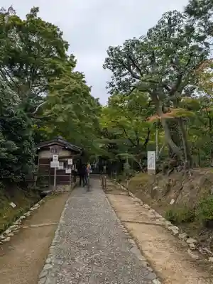 常寂光寺(京都府)