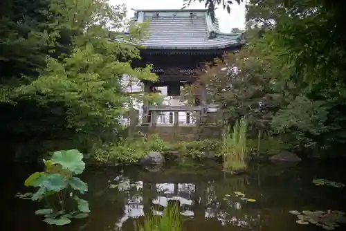 西新井大師総持寺の庭園