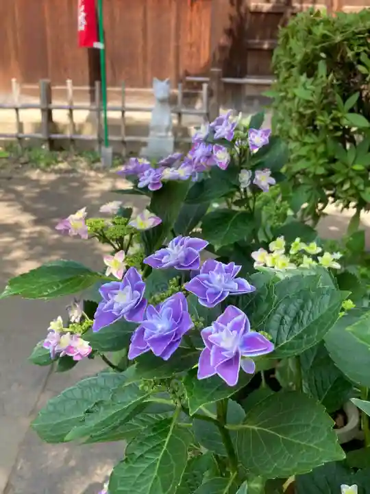 花園稲荷神社の自然